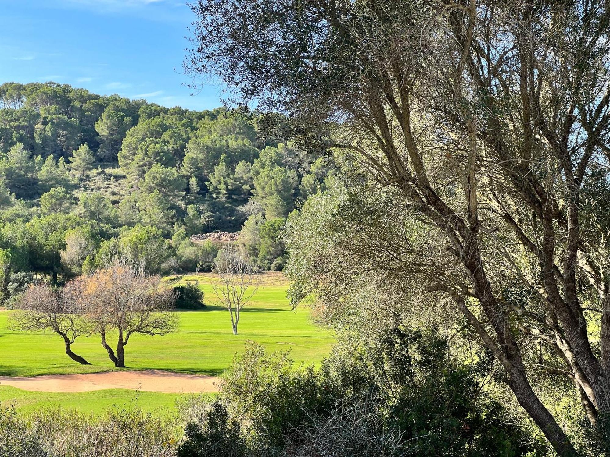 Disfruta Del Paraiso Son Parc Bagian luar foto
